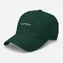 classic-dad-hat-spruce-left-front-64f7a5208e05c.webp