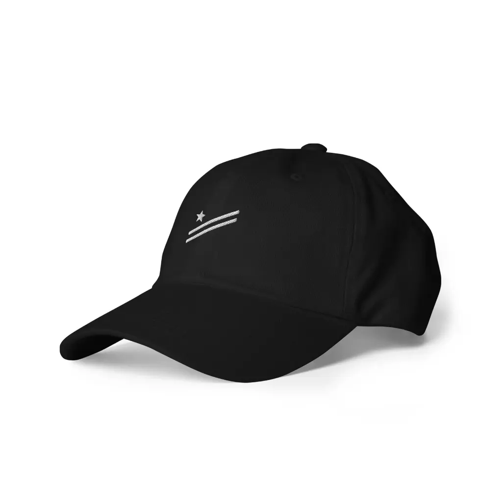 classic-dad-hat-black-left-front-6669973454b4e.webp